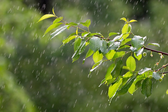 rain-3411982_640